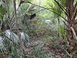 9550 230 Street - Photo 4