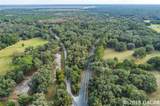  X Of Williston & Wacahoota Rd - Photo 3