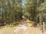 3897 Pinemount Road - Photo 19