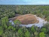 10431 32ND Lane - Photo 9