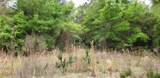  County Road 242A - Photo 4