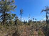 5905 298TH STREET - Photo 4