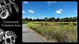 5241 125TH CIRCLE - Photo 19