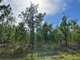 000 Doe Trail - Photo 1