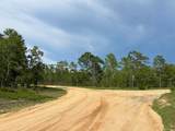 000 Doe Trail - Photo 2