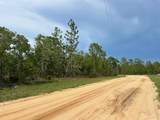 000 Doe Trail - Photo 4