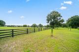 1047 Mandiba Drive - Photo 37