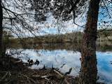 5229 72ND Way - Photo 27