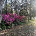 27904 114 Place - Photo 49