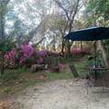 27904 114 Place - Photo 50