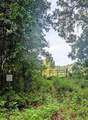 10316 170TH Street - Photo 4