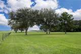 4122 Old Wire Road - Photo 15