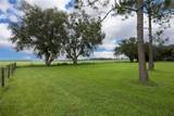 4122 Old Wire Road - Photo 16