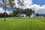4122 Old Wire Road - Photo 17