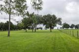 4122 Old Wire Road - Photo 18