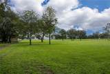 4122 Old Wire Road - Photo 19