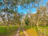1682 County Road 219A - Photo 21