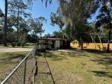 4102 10th Street - Photo 3