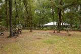6836 Womans Club Drive - Photo 11