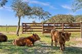 2650 Scrubpens Road - Photo 43