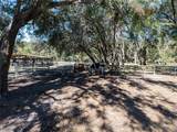 531 Elim Church Road - Photo 63