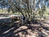 531 Elim Church Road - Photo 64