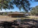 531 Elim Church Road - Photo 66