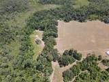 11810 County Road 234 - Photo 16