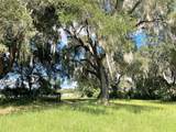 11810 County Road 234 - Photo 70