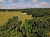 11810 County Road 234 - Photo 74