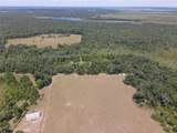 11810 County Road 234 - Photo 89