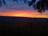 4390 288 Street - Photo 34