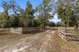 748 Homestead Circle - Photo 34
