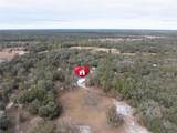 7835 Bundy Lake Road - Photo 45