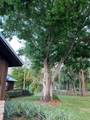 5210 Indrio Road - Photo 82