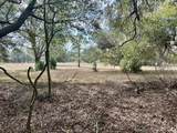  County Road 236 - Photo 12