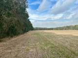  County Road 236 - Photo 13