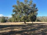  County Road 236 - Photo 6
