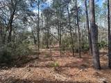  County Road 236 - Photo 5