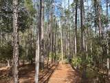  County Road 236 - Photo 6