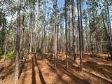  County Road 236 - Photo 8