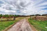 19019 Sr 121 - Photo 7