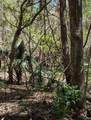 00 35TH Avenue - Photo 3