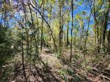 00 Pine Dr - Photo 1
