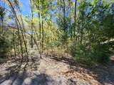 00 Pine Dr - Photo 2