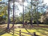 11661 Creek Drive - Photo 24