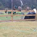 1890 167TH Place - Photo 55