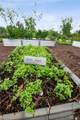 Lot 47 125TH Circle - Photo 9
