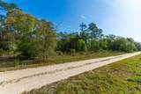  65 Street - Photo 5