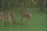 23225 County Rd. 236 - Photo 64